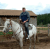 horse.png (217571 bytes)