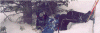 tiff9.gif (118148 bytes)